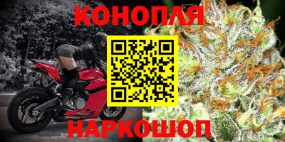 марихуана Камышлов