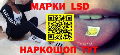 Альфа ПВП Канаш
