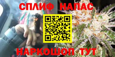 мдпв Ипатово
