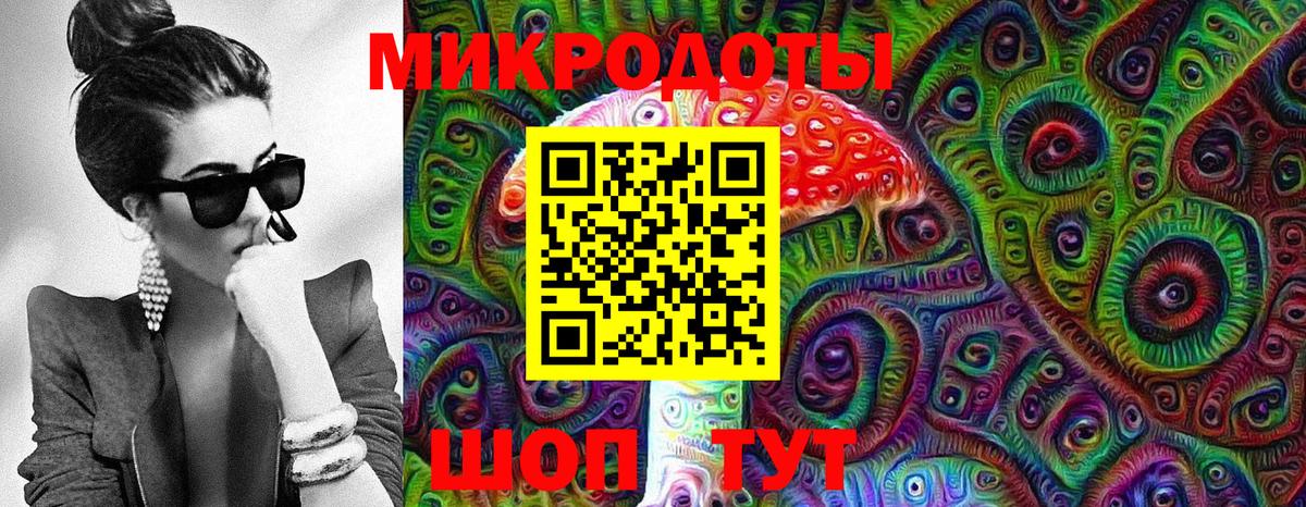 Галлюциногенные грибы Psilocybine cubensis Лангепас