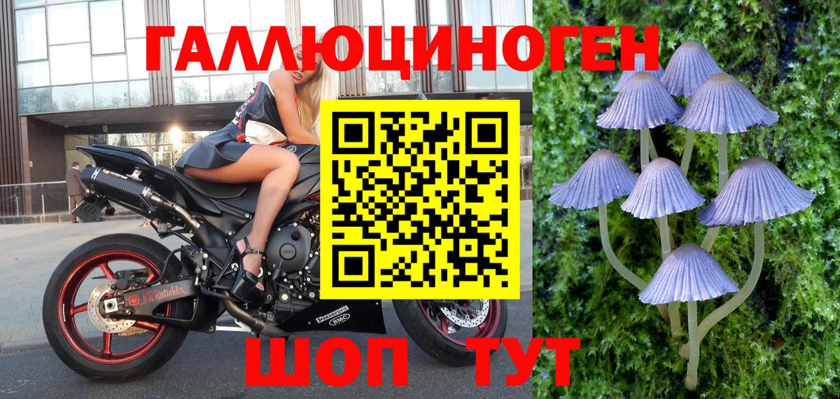 Галлюциногенные грибы Cubensis  Вход с VPN  Галлюциногенные грибы Magic Shrooms  Лангепас 
